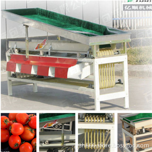 Cherry tomato size grader YSXT-1C